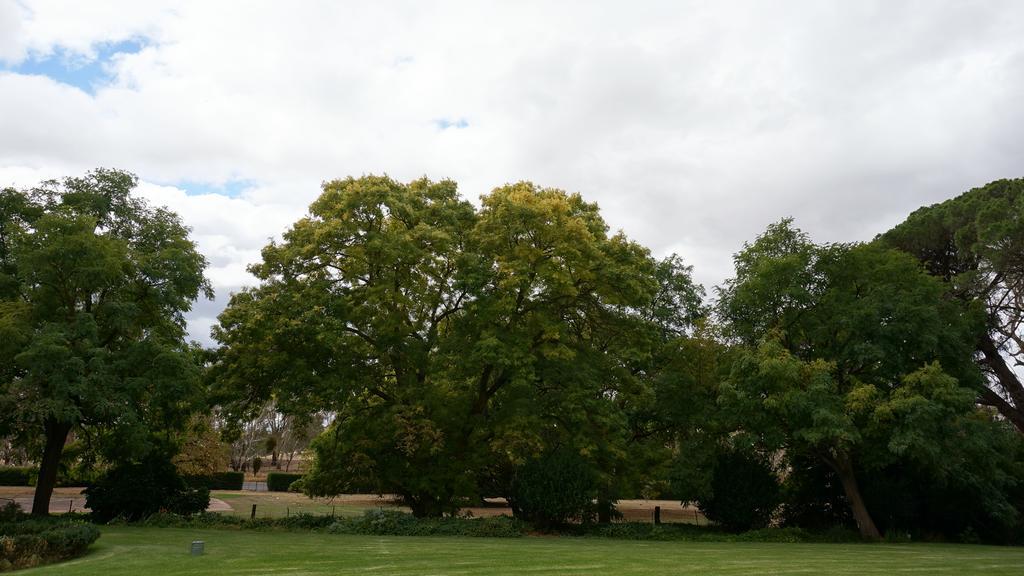 Collingrove Homestead Angaston Exterior photo
