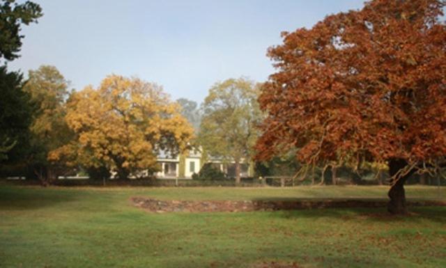 Collingrove Homestead Angaston Exterior photo